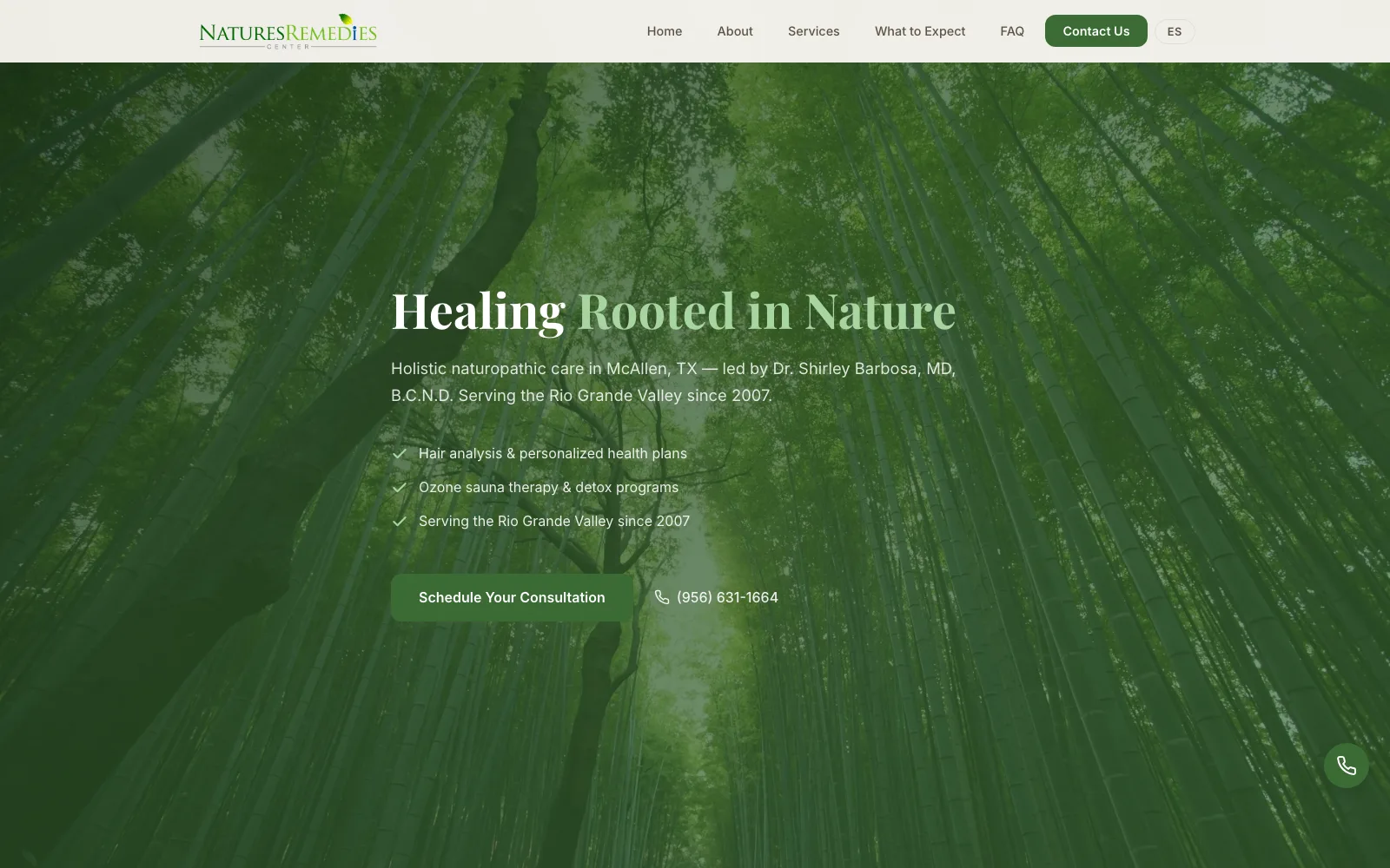 Nature's Remedies Center website screenshot
